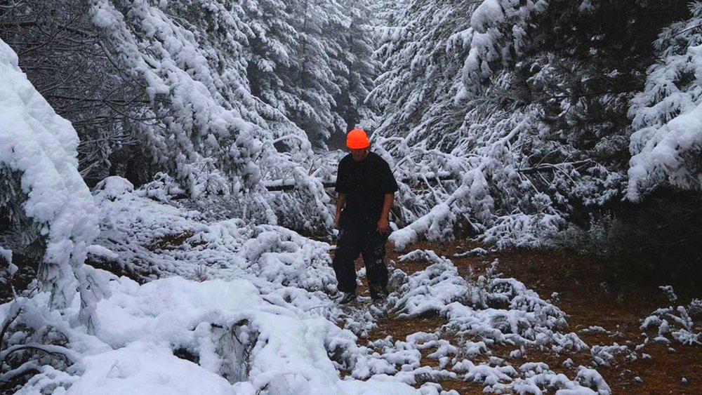 Wondering Where to See Snow in the Blue Mountains? Here Are 7 of the Best Places Klook Travel Blog