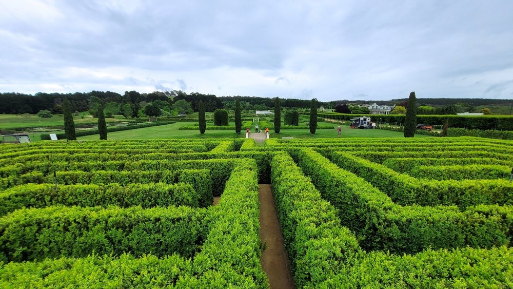 When a seasonal festival is on, challenge your friends with a hedge maze, Mayfield Gardens