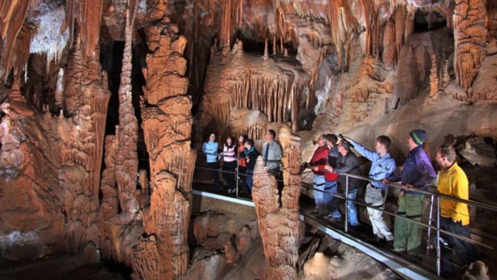 Explore the cavernous recesses of the Jenolan Cave system