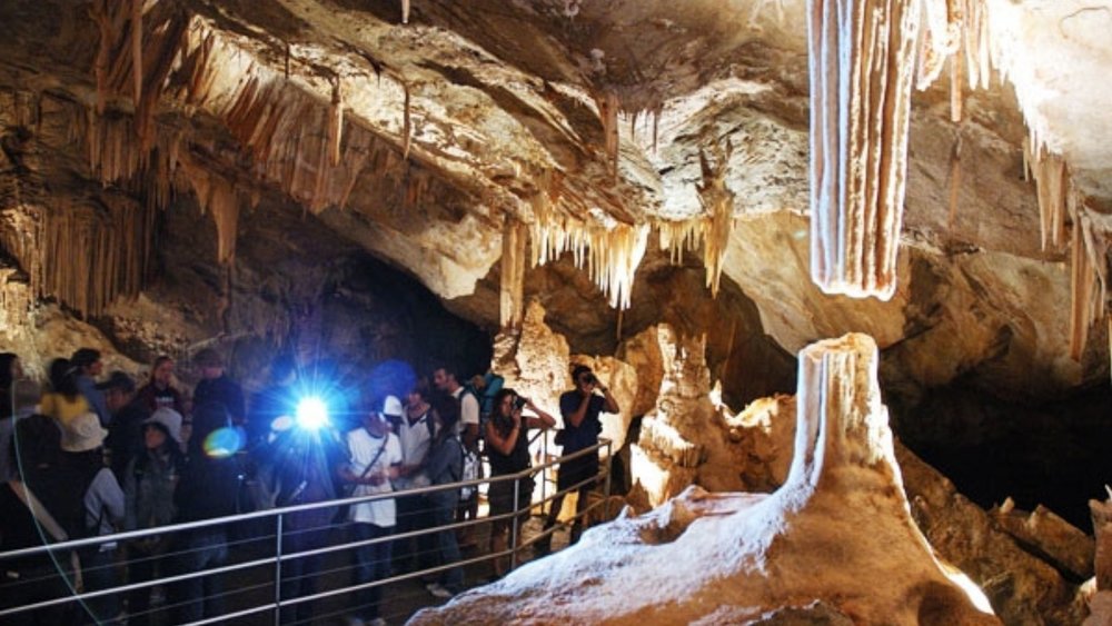 Learn about the cave and see its wonders through a guided tour