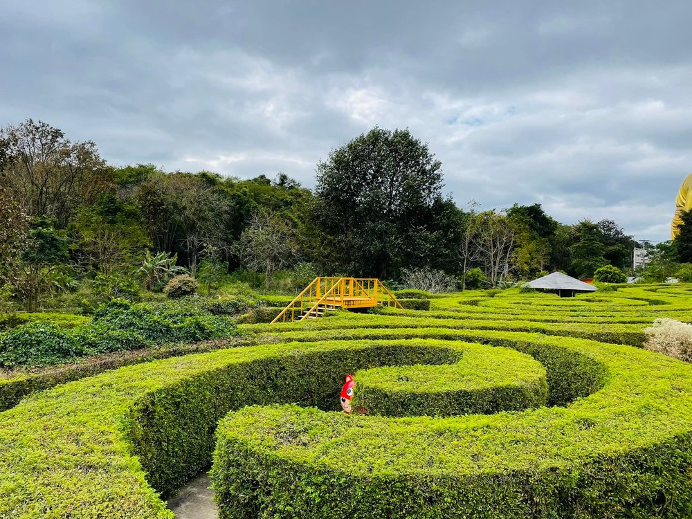 Pete Maze (พิชญ์ เขาวงกต)