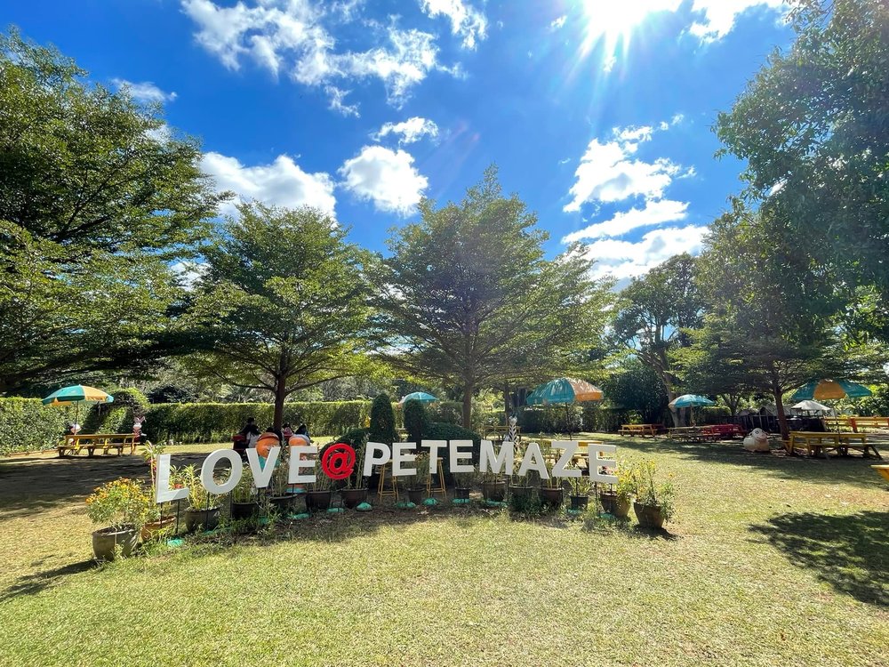 Pete Maze (พิชญ์ เขาวงกต) 2