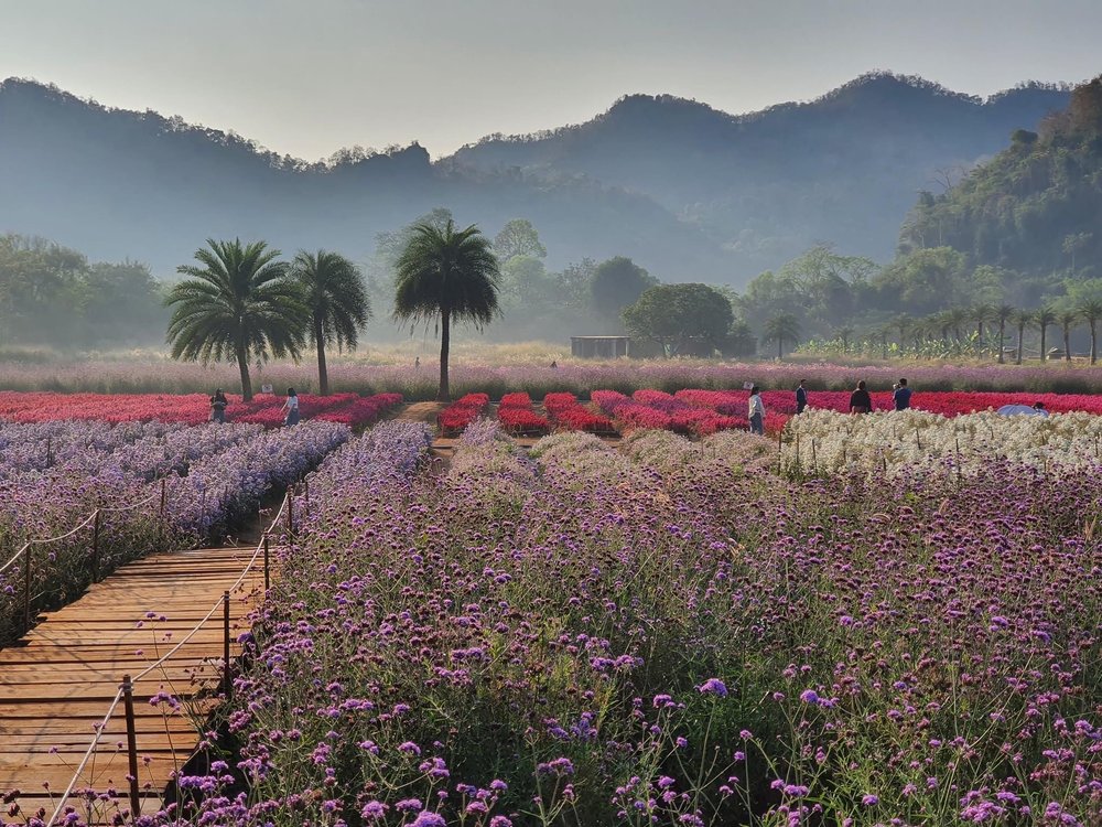 Hokkaido Flower Park Khaoyai