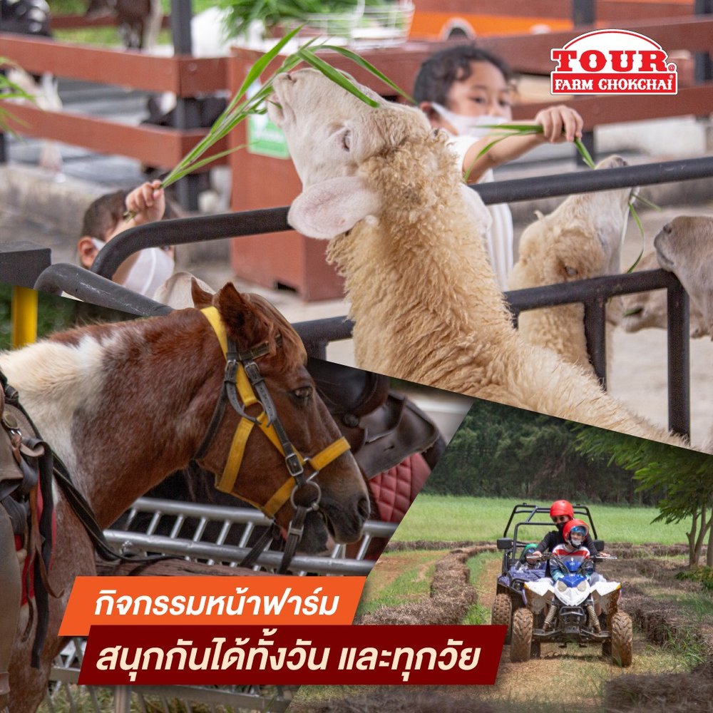 ฟาร์มโชคชัย 2