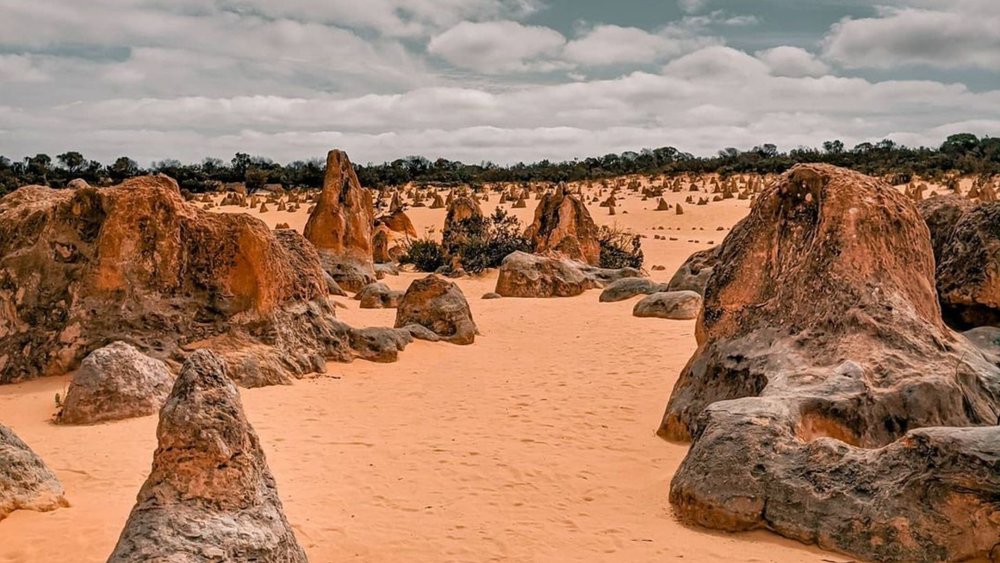 Marvel at the incredible rock formations at the Pinnacles Desert. Credit: @rayzorgraphy