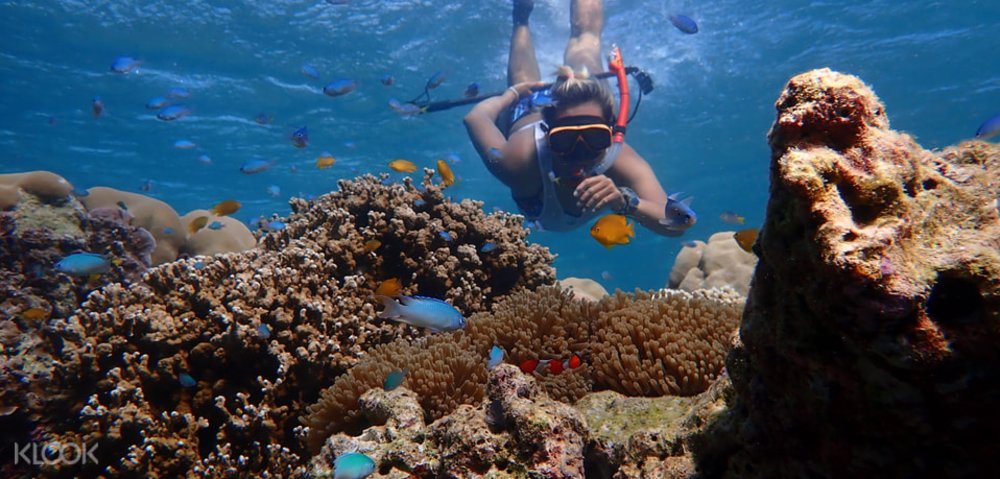 ทัวร์หมู่เกาะสุรินทร์แบบหนึ่งวันหรือแบบแคมป์ปิ้งบนเกาะหลายวัน โดย Seastar Andaman