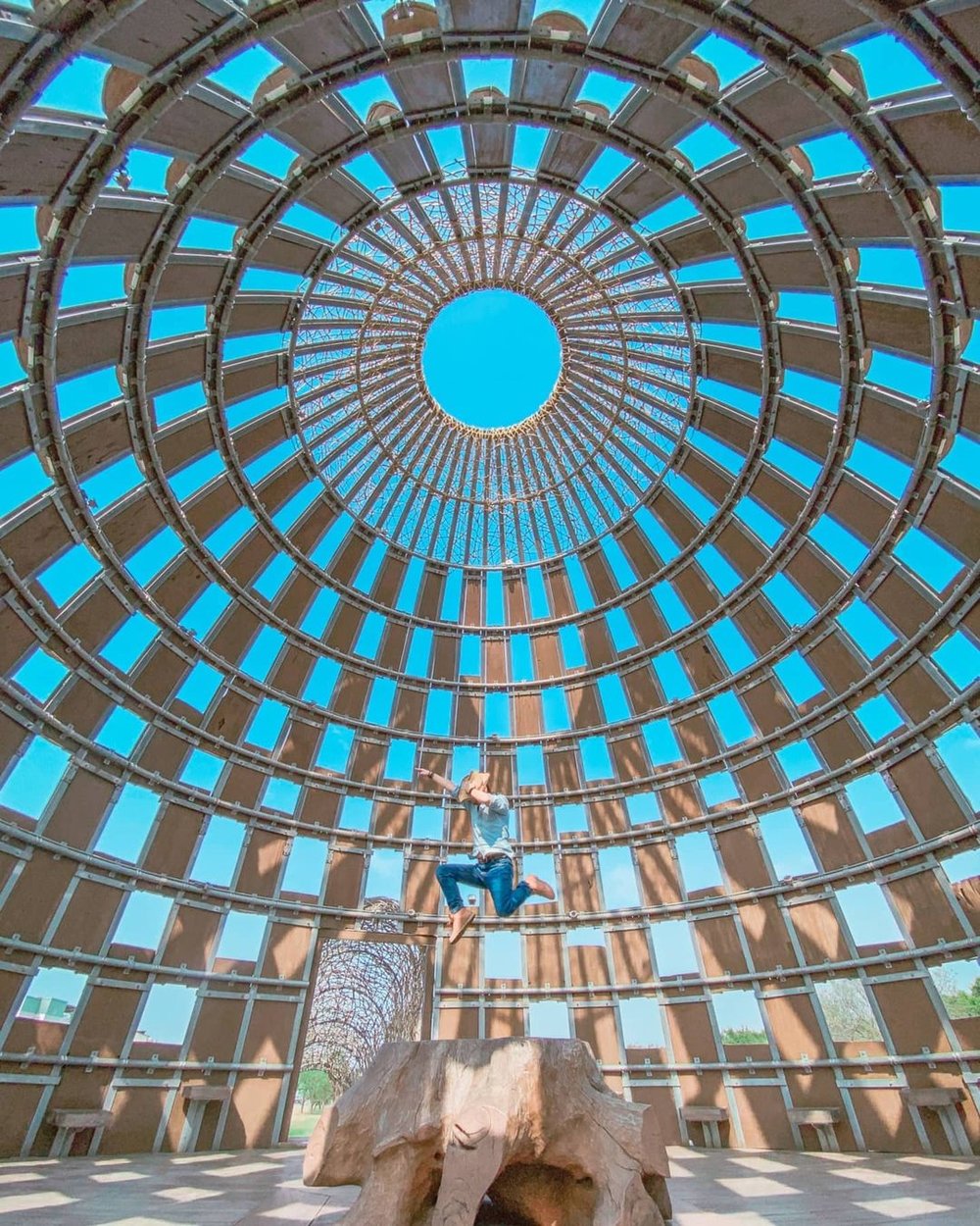 嘉義市區景點:森林之歌