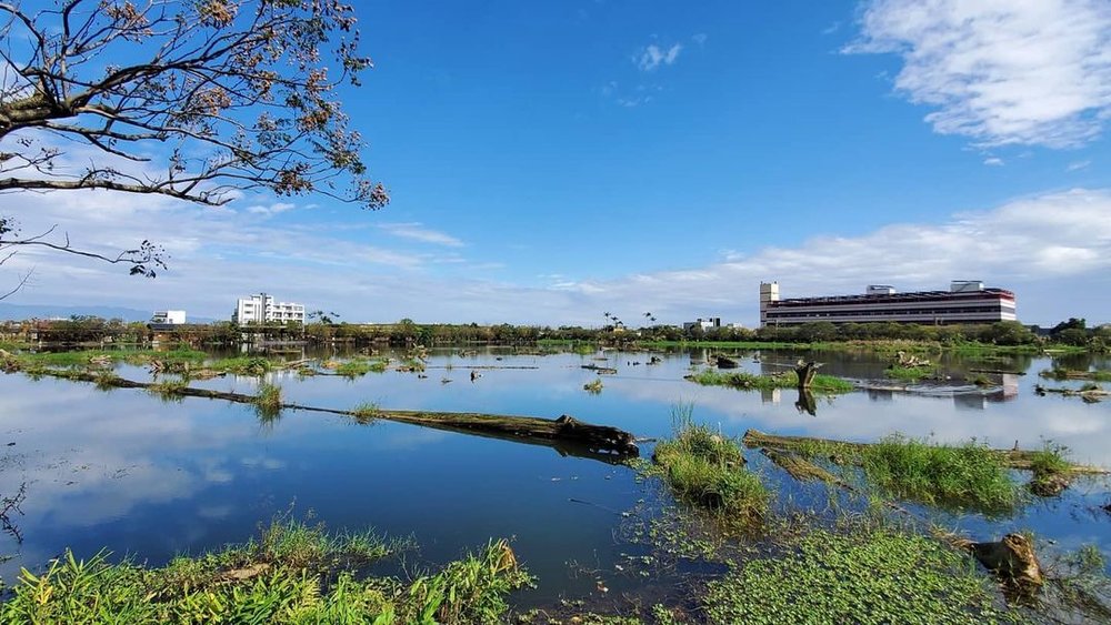 宜蘭羅東景點:羅東文化林業園區