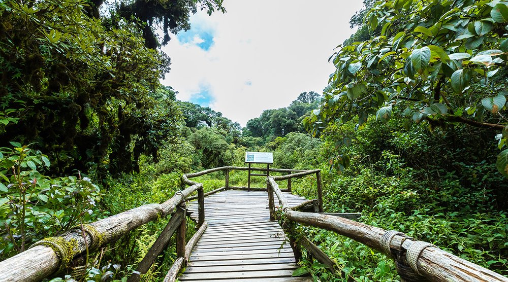 doi inthanon national park viewing deck 
