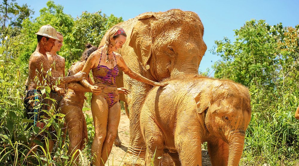 a tourist mud bathing with elephant in elephant jungle sanctuary phuket