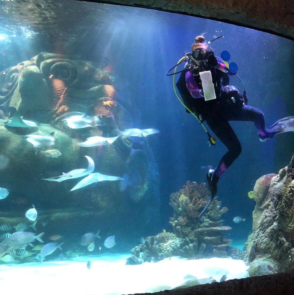 What To Expect and What To Do in SEA LIFE Orlando Aquarium - Klook ...