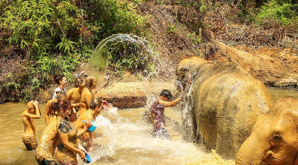 mud being washed off elephants and tourists in Elephant Jungle Sanctuary Phuket