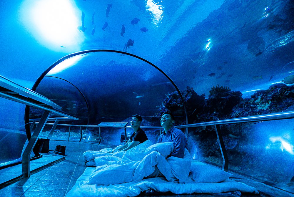 情侶約會行程：夜宿屏東海生館