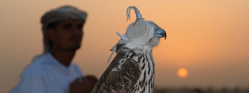 man holding falcon in dubai desert