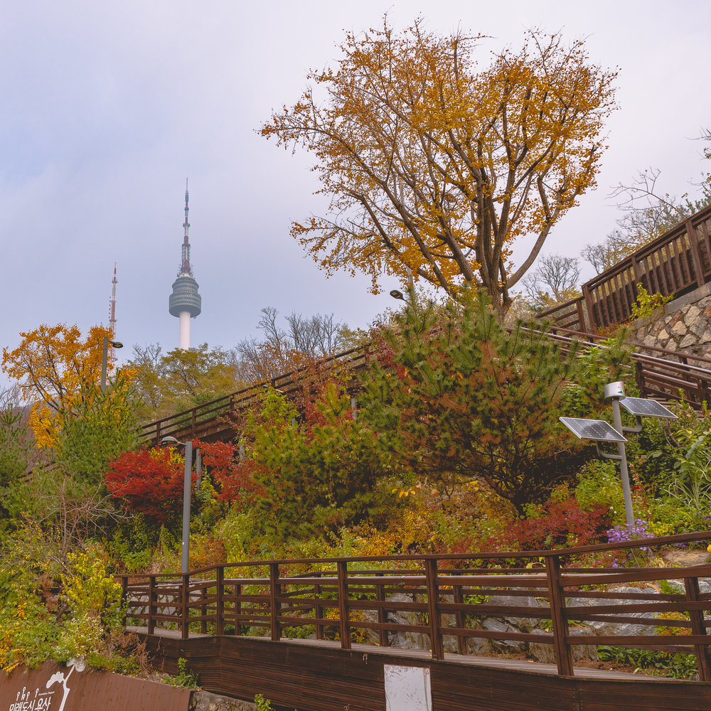 south korea 6d5n itinerary itaewon 3