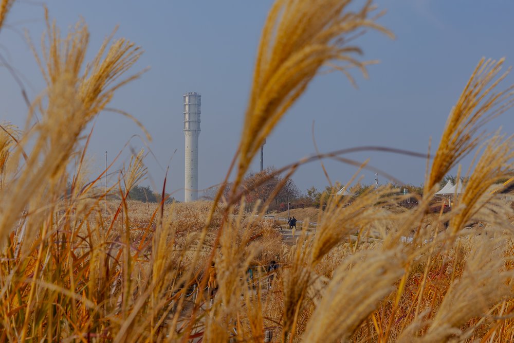 south korea 6d5n itinerary seoul olympic park 1