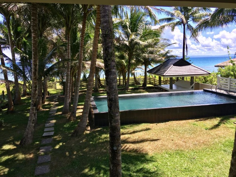 infinity pool by garden