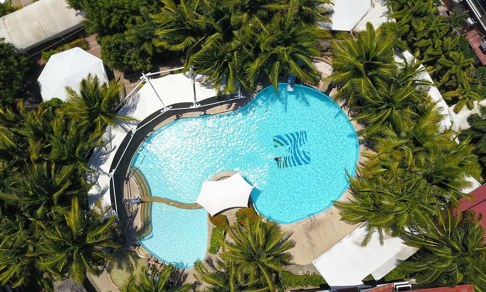 aerial view of pool and coconut trees
