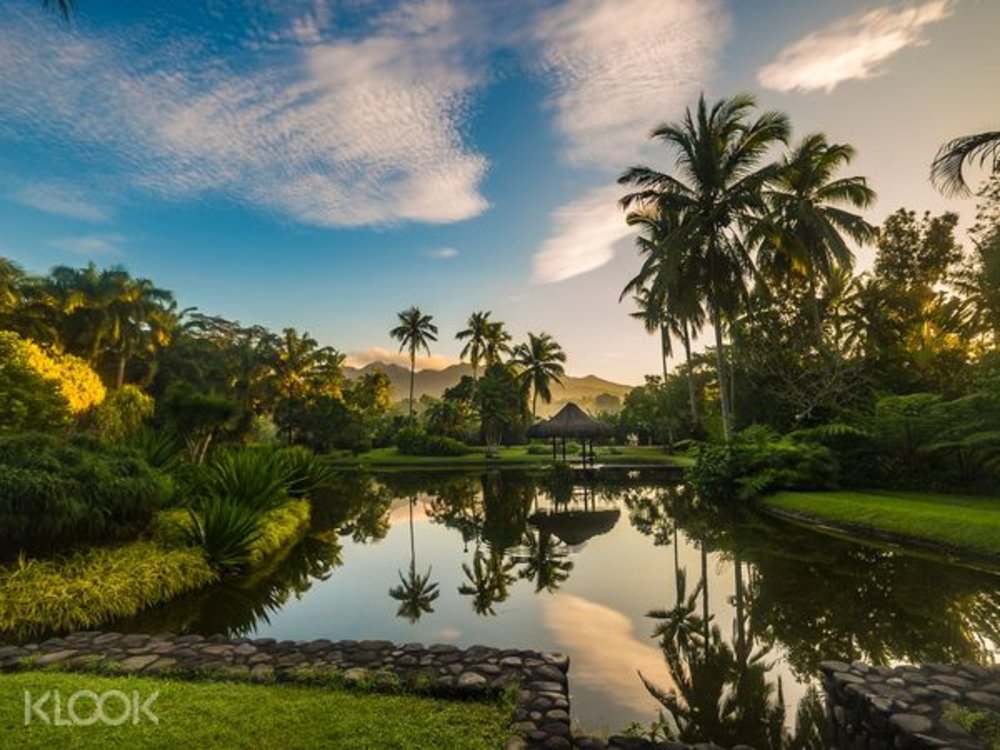 lush greenery by clear pond