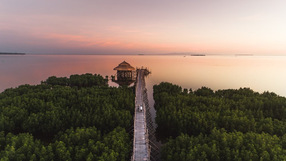 aerial shot of boardwalk during sunset
