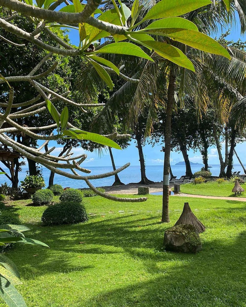 garden overlooking ocean