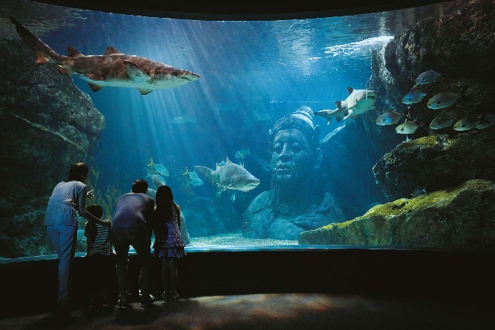 ซีไลฟ์ แบงคอก (SEA LIFE Bangkok)