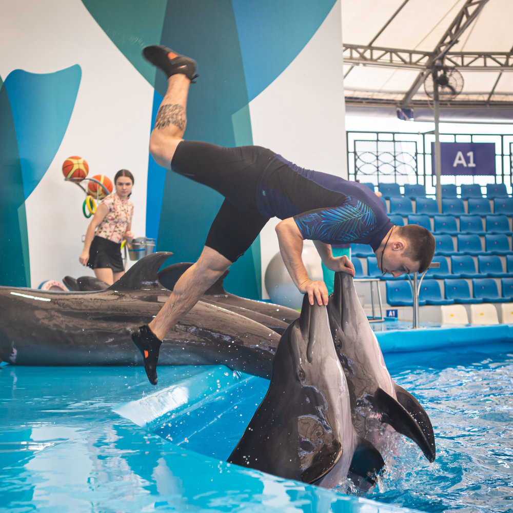 พัทยา ดอลฟินาเรียม (Pattaya Dolphinarium)