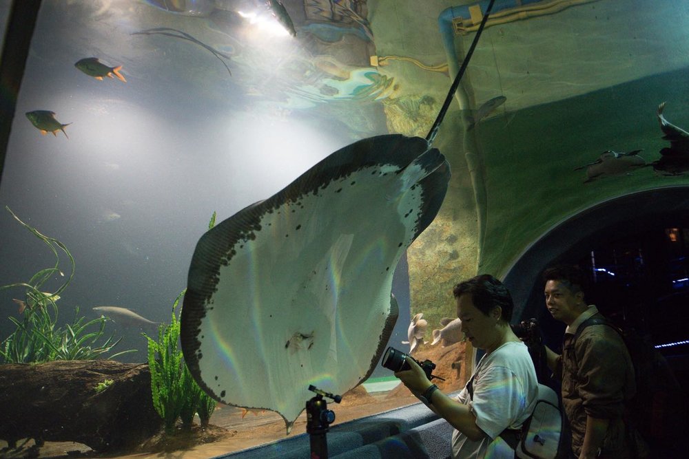 สวนสัตว์เชียงใหม่ (Chiang Mai Zoo) 3