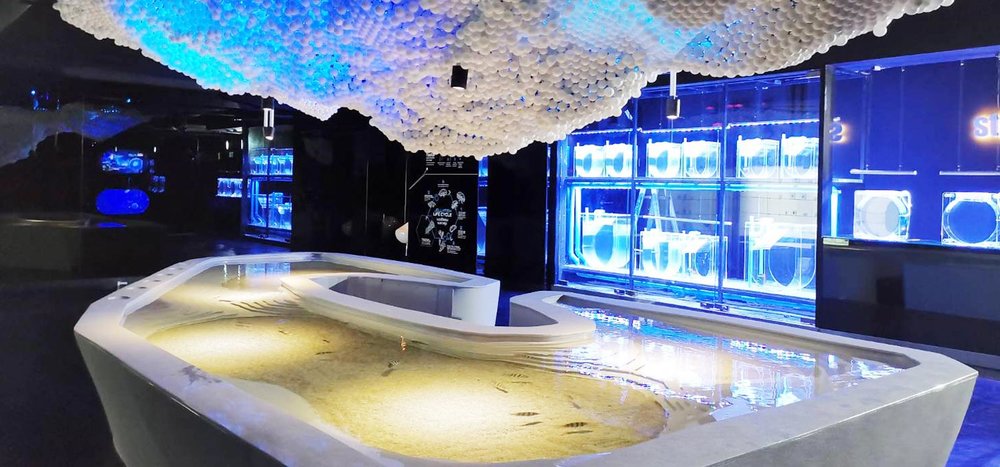 อควาเรีย ภูเก็ต (Aquaria Phuket) 2