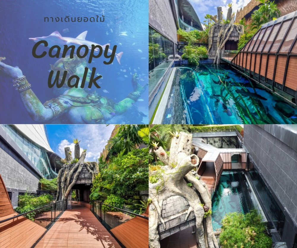 อควาเรีย ภูเก็ต (Aquaria Phuket) 3