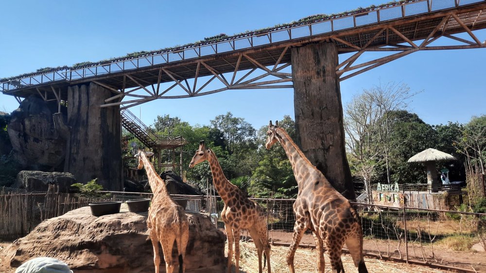 สวนสัตว์ขอนแก่น (Khonkaen Zoo) 3