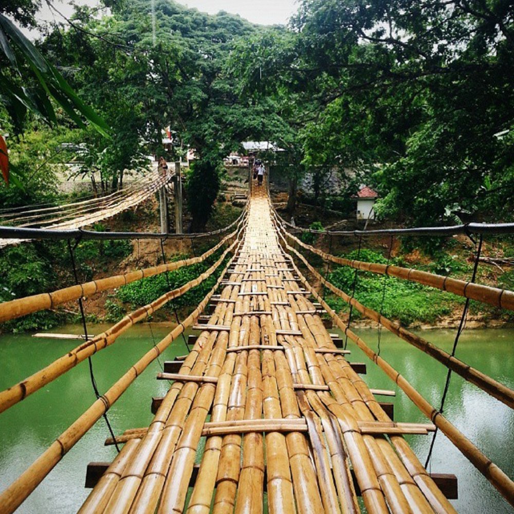 bamboo hanging bridge