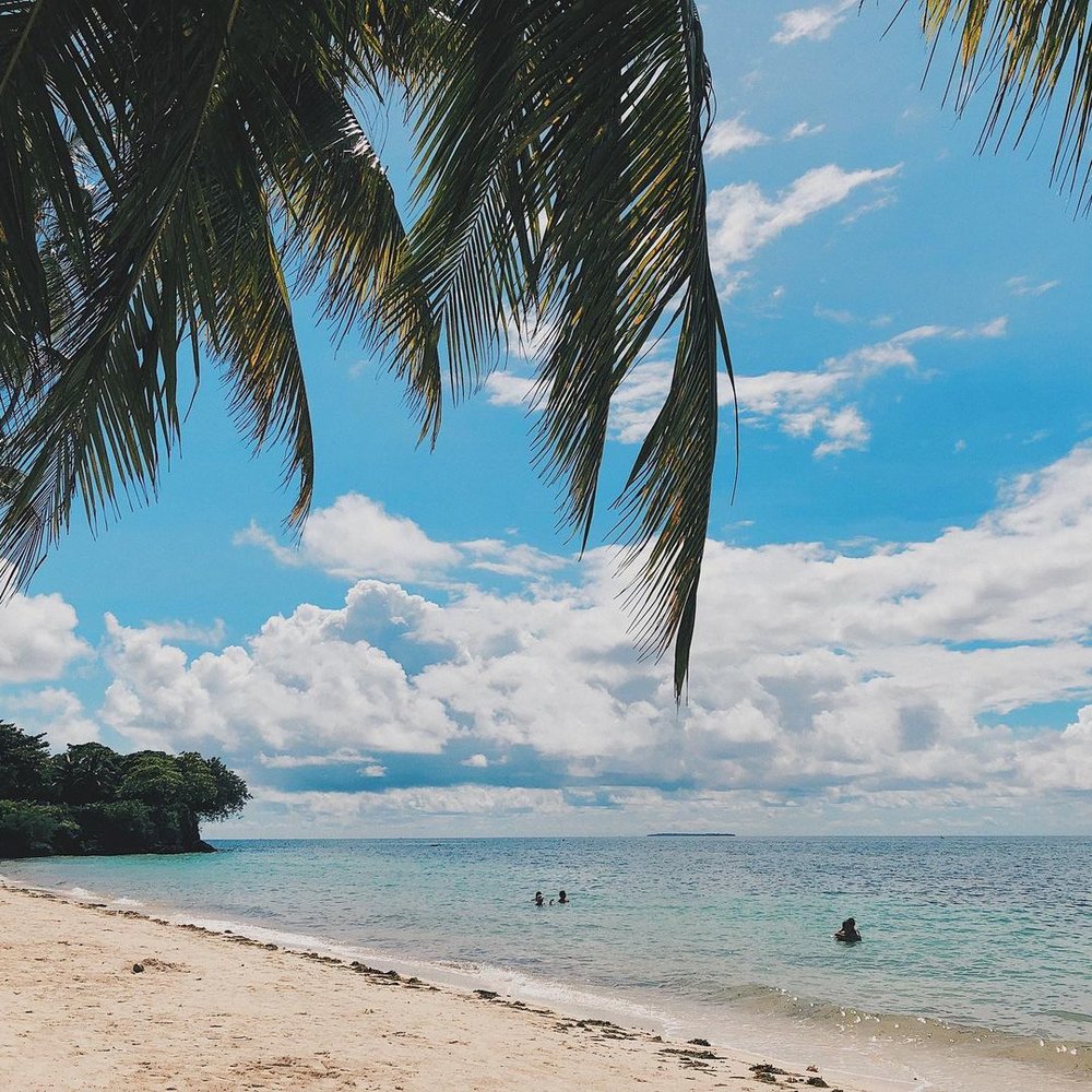 white sand beach on a sunny day