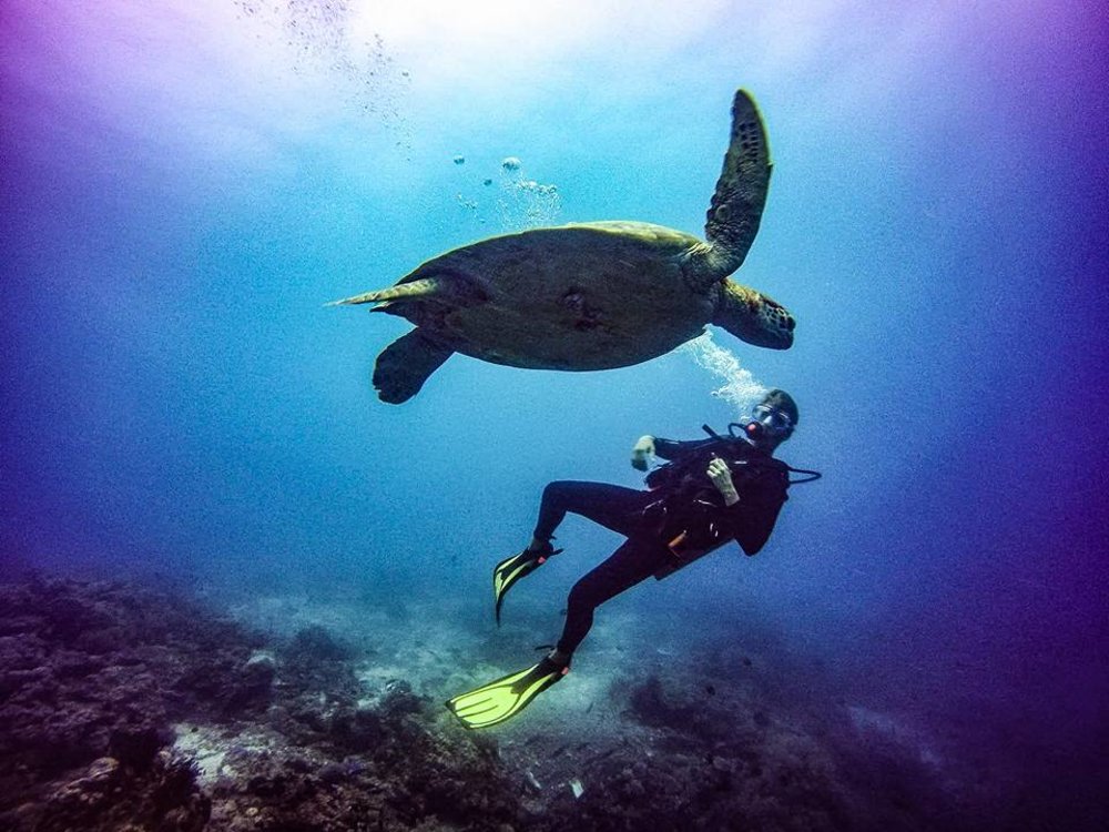 man scuba diving with turtle