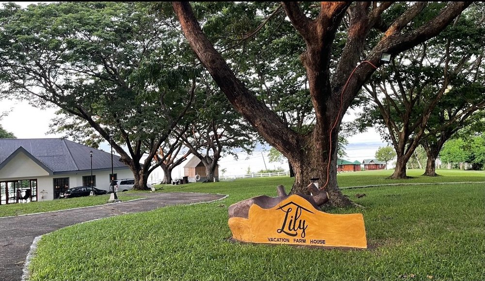 wooden farm sign on tree