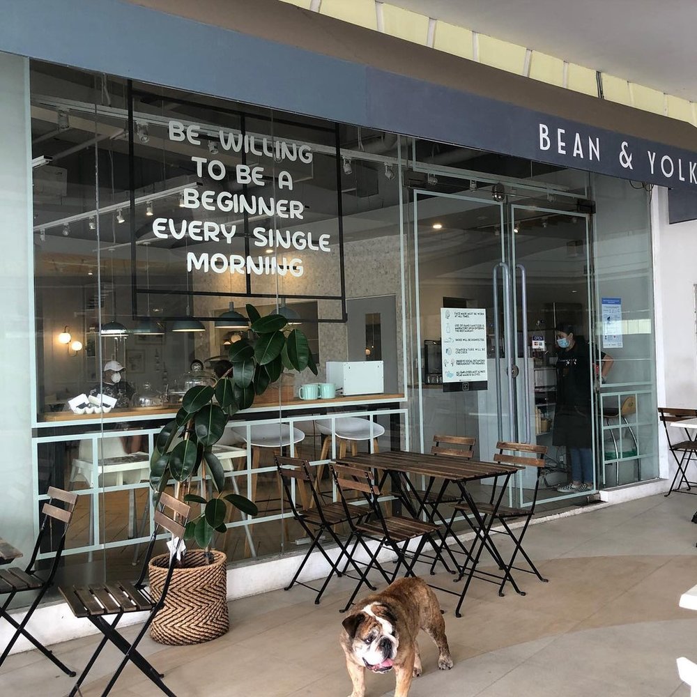 bulldog infront of cafe entrance