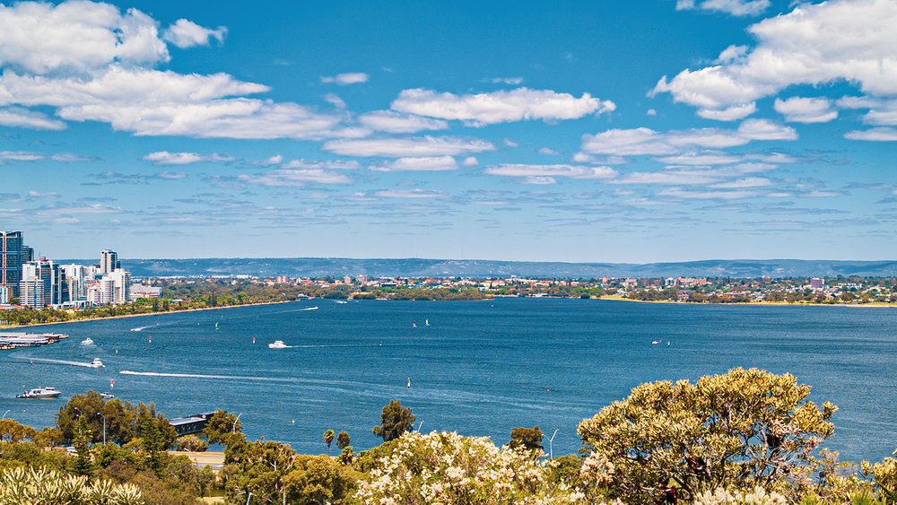 Cruise along the Swan River, named after black swans in the area. Image credit: Joshua Leong on Unsplash