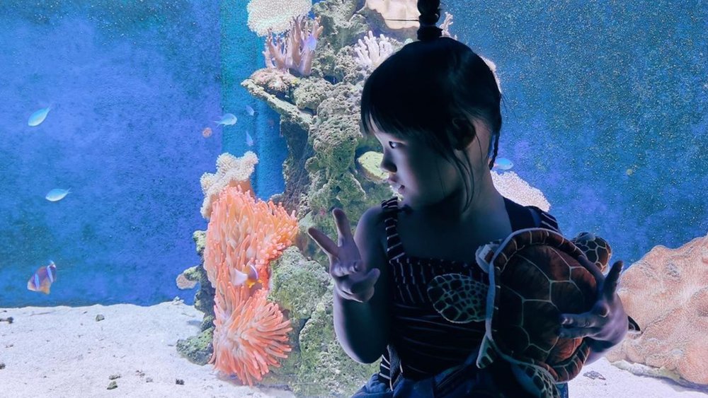 See your favourite marine animals in the only 10-metre Deep Reef Tank in Australia! Image credit: @vickyjingjinli on Instagram