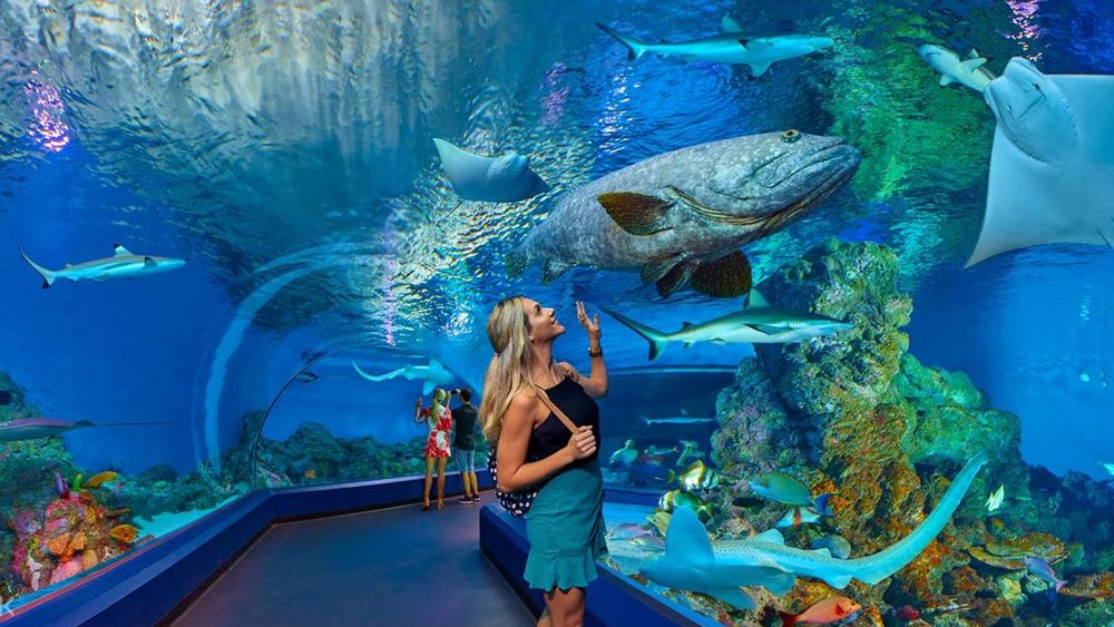 Explore the largest freshwater exhibit in Australia!