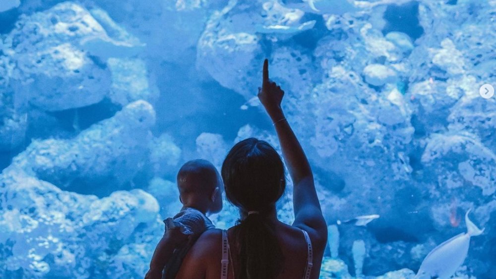 The impressive architecture of the museum was recognised by the Master Builder Queensland in 2018, winning the Project of the Year award. Image credit: @ourwanderinghearts on Instagram