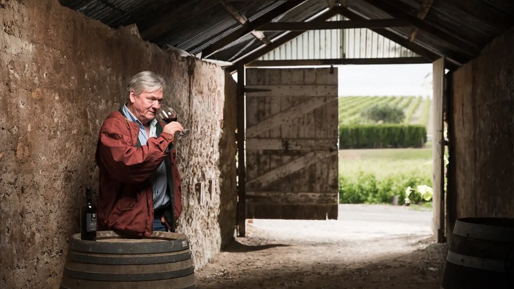 Taste wine underground!