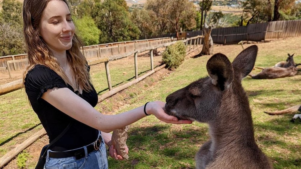 Feed a kanga at Bonorong Wildlife Sanctuary. Image credits: @sarahlaceyann on Instagram