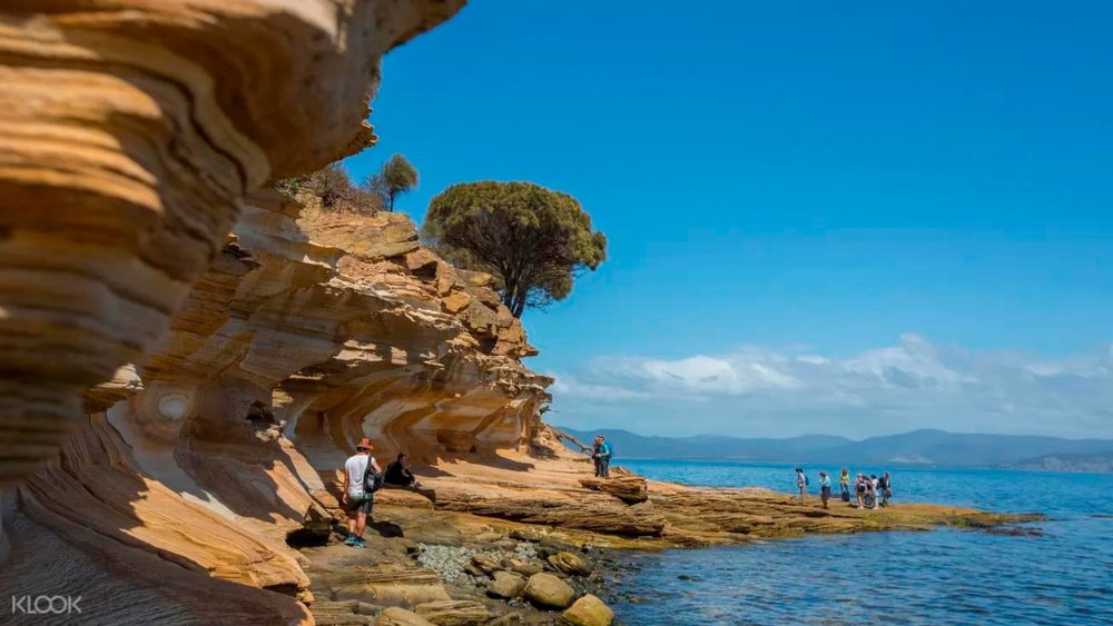 Maria Island’s coastal cliffs are a sight to behold!