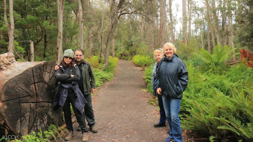Reconnect with nature inside Cradle Mountain National Park!