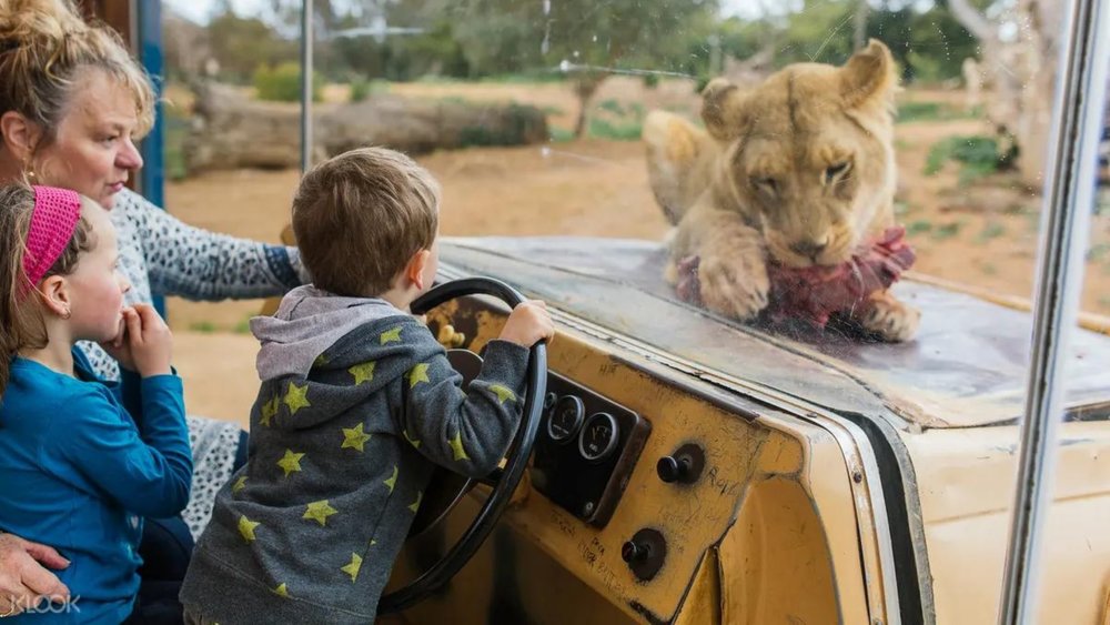 Feel closer to nature at Werribee Open Range Zoo.