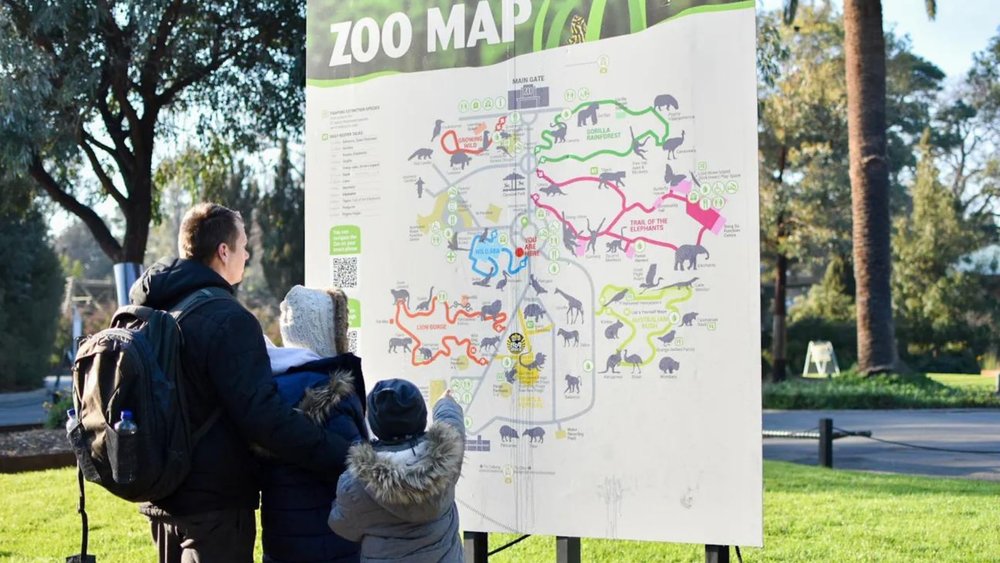 There are tons of animals to see at Melbourne Zoo!