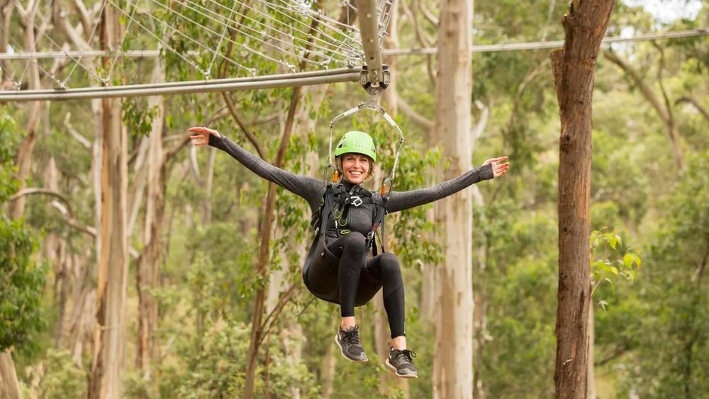 Conquer your fear of heights at Live Wire Park!
