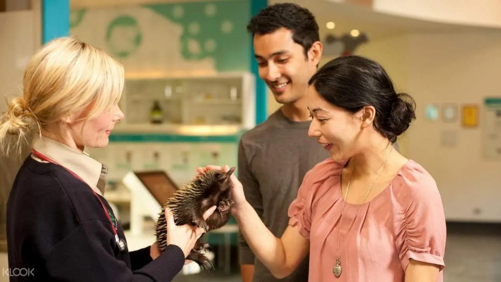 Grab the chance to pet local creatures at Healesville Sanctuary. 