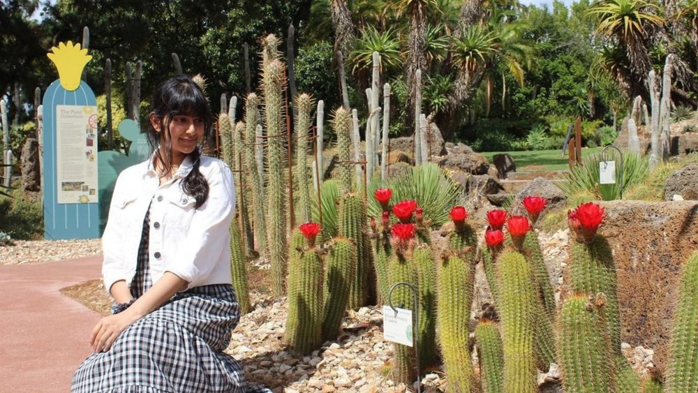 Gaze upon different kinds of plants at the Royal Gardens. "Credits: @rjstyle_21"