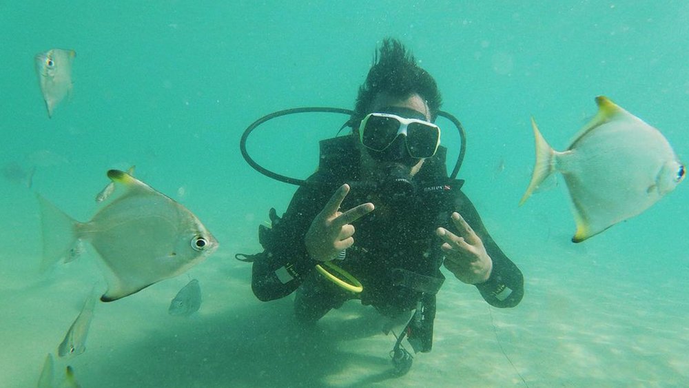 Make some new aquatic friends! "Image credits to @farhaannsyed on Instagram"